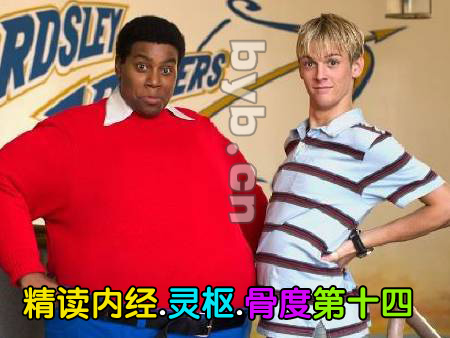精讀黃帝內經,靈樞,骨度
